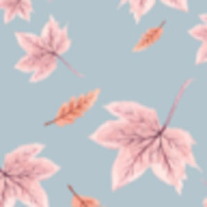 Meet your Posher, Capri